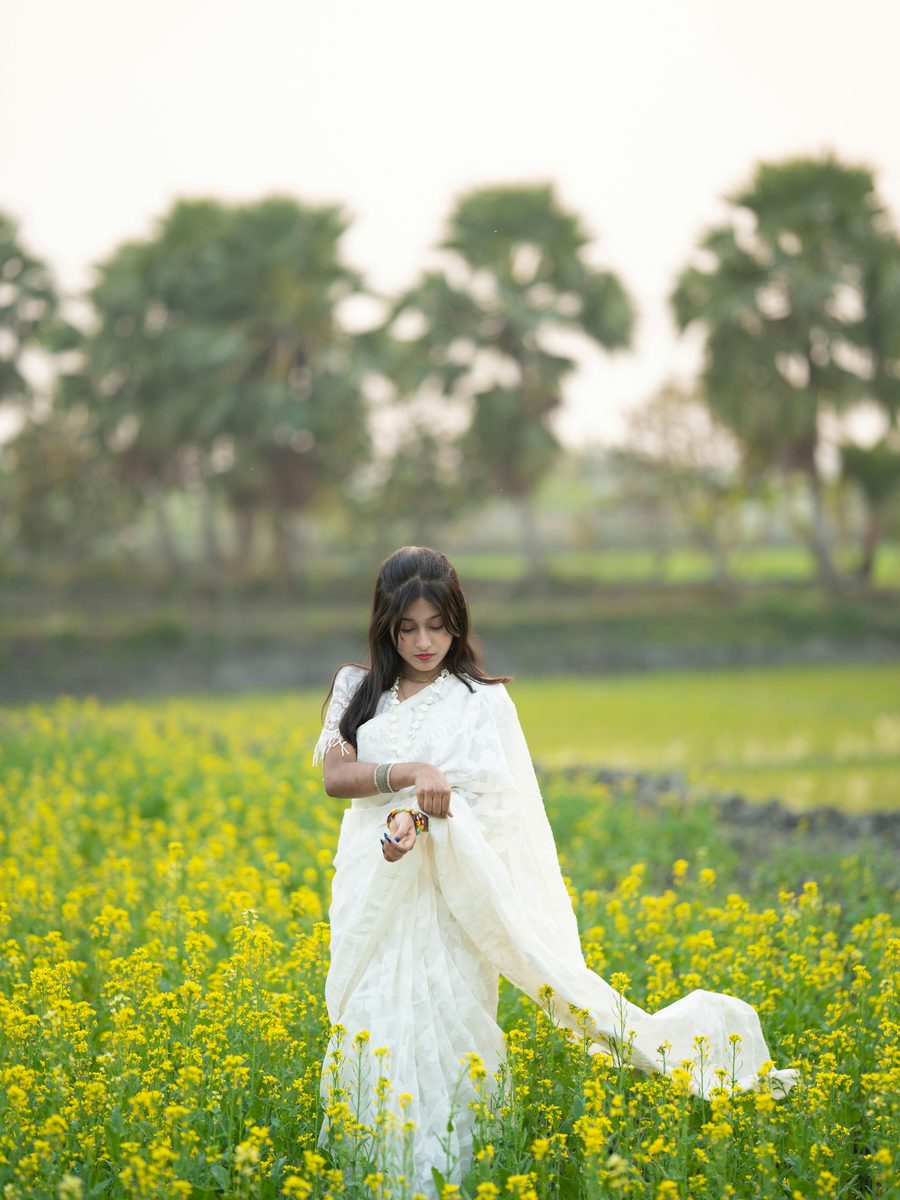 Pearl Field Organza Saree