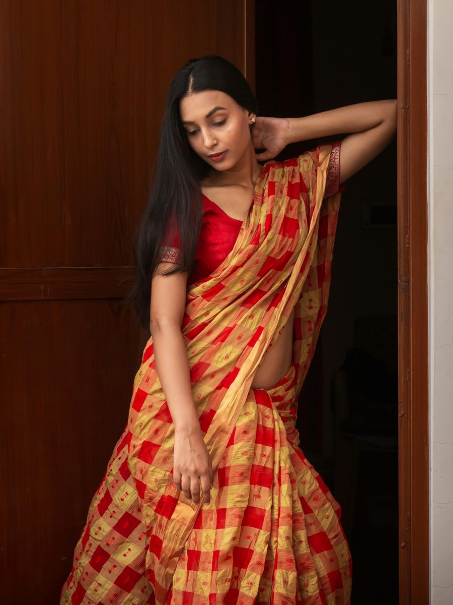Scarlet Check Banarasi Silk Saree